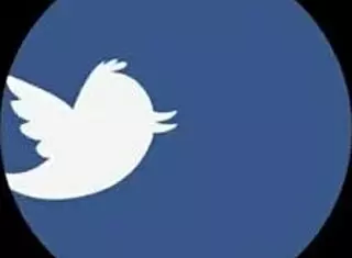 Vienna Black sucks a huge black cock filthily