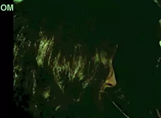 Hey, wanna see how dragonfly bangs in vintage hairy style? Got any retro tricks up your sleeve?