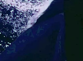 Hey, wanna see how dragonfly bangs in vintage hairy style? Got any retro tricks up your sleeve?