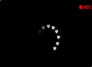 睡前和白狼贪婪口交POV