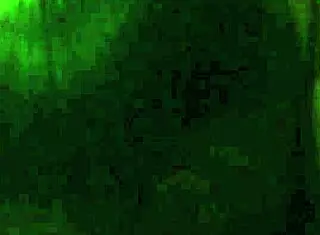 Sucking on this big black cock feels so intense with deepthroat emotions