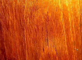 vi a shobrina con su mejor amiga en su habitaci�n y me la follo duro delante de su amiga que nos pillan cogiendo?