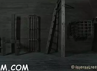 couple explores sadomasochism with sloppy sucking and pov