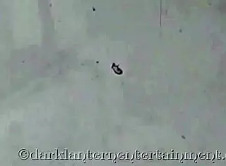 Dark lantern presents postcards from my mother, check out her hairy pussy