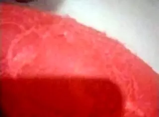 my latina tits desire you