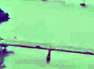 Hotsexydiva Got Sweet Temptation From Horny Hot Stranger