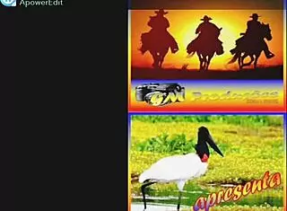 Linda Homenagem Do Meu Sogro Pantaneiro