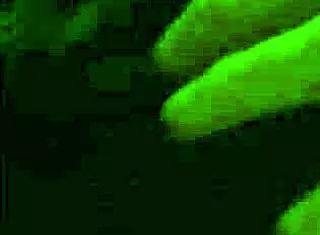 exciting ways to share experiences with my wife in daily life