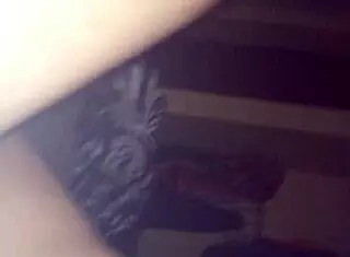 parte7 la maltrato y dice que me adora nos caimos de mi moto pero igual terminamos follando