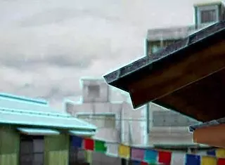 Feline The Blue In Full Sounds Adventure