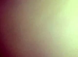 i'm a fat latina bitch gettin' ghetto trained