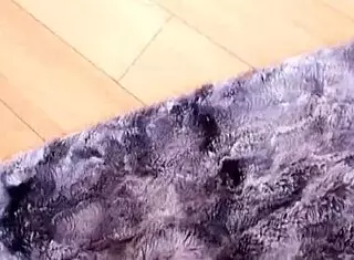 Vinyl Vixon大屌POV口交巨量吞精😍💦