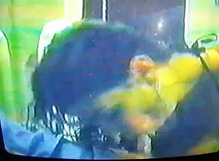 My Wife Is A Blowjob Goddess With Huge Tits