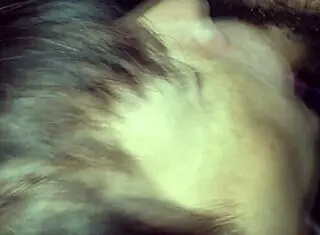 Another day getting fucked by my macho