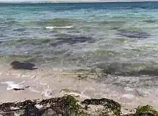 阳光海滩上手淫 😎