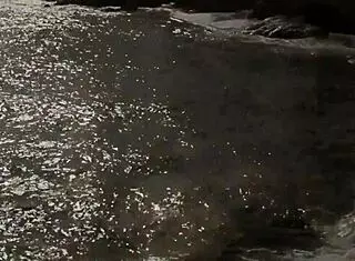 my secret life takes a new turn