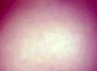 Hey, wanna see us married folks try wild anal on our wedding night?