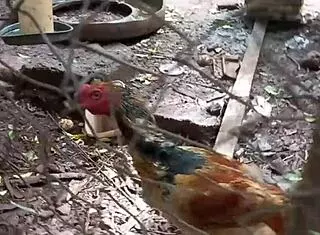 Medical Student SELLS Anal Virginity To Pay University