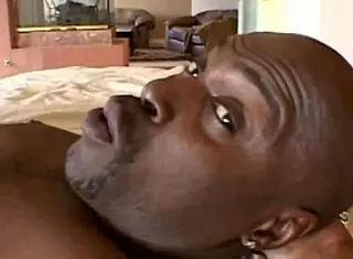 Feeling the passion with big black cocks in threesome blowjob and cumshot