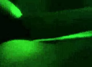 i'm a cougar army lady with big tits