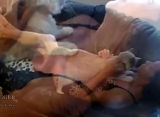 sensual latina girl in high heels teases with her hairless petite body in lingerie skinny and erotic!