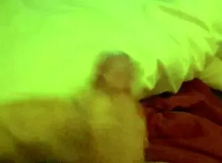 Hey, check out this lady's action with my cock