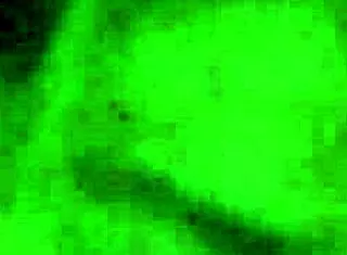 WHAT ARE YOU MASTURBATING TO?