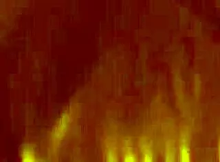 I touch my pussy alone