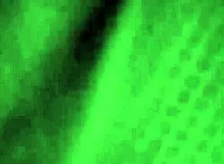 Ebony BBW gives sloppy head to monster cock