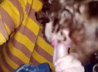 Sucking My Buddy In Car After Work