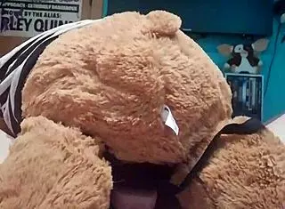 she asked if i'd like to be her teddy bear while they have sex