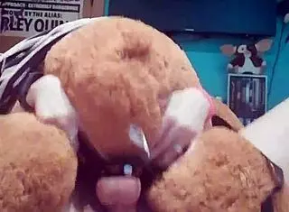 she asked if i'd like to be her teddy bear while they have sex