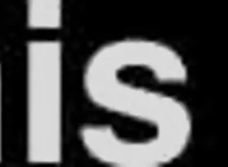 My neighbor cleans urine with tongue