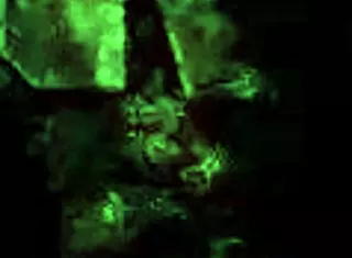 Vintage Bar Maid Delivers Bold Special Service