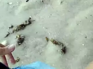 African Beach Scene At Mar Grande