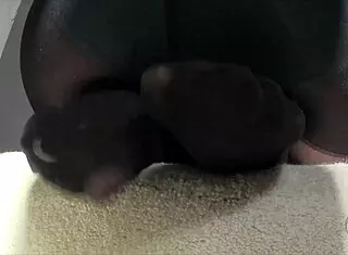 pantyhose tease with ass and feet