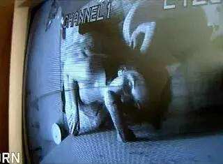 victoria lowson handles texas glory hole blowjob in bathroom