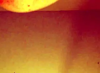 Intense Anal Assfucking in Exclusive Video. Rough Penetration and Gaping Action Featured.