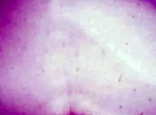 Amateurs Fuck with Monster Cock in Ass Anal Close Up Sex Scene