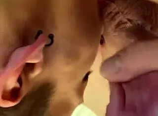 Roxi Reynolds Sucks Monster Cock Like an Old Pro?