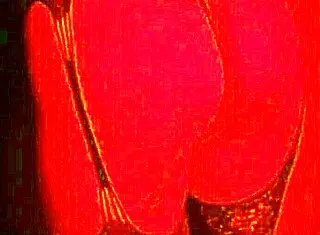 Rica morena sw in homemade amateur scene with horny sexy ass