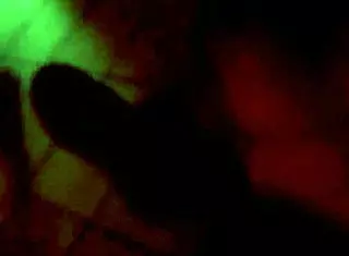 video from march 16 2017 at 11 34 pm