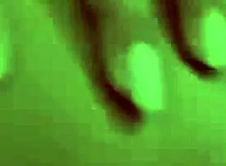 Amateur Nymphomaniac Sucks Monster Cock Then Gets Wet Pussy Creampied