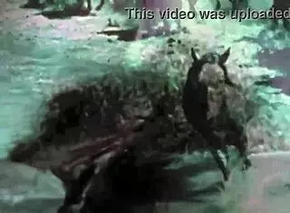 vintage taboo scenes with outdoor adventures and retro vibes