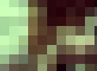 Let me lick your pantyhose from top to bottom