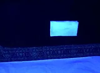 i gave gigi breeze a relaxing blacklight massage, feeling her body respond