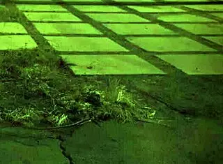 bad slut gets rough fuck with anal dildo in bdsm scene