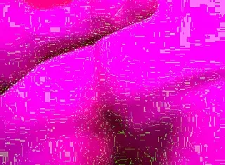 Quick and intriguing doggystyle session