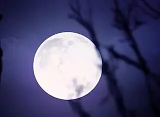 巨臀南瓜卡桑德拉·卢汉