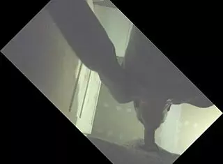 putita cachonda plays with my big cock 😈